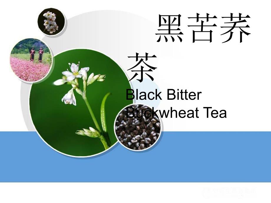 苦荞茶培训标准资料_第1页