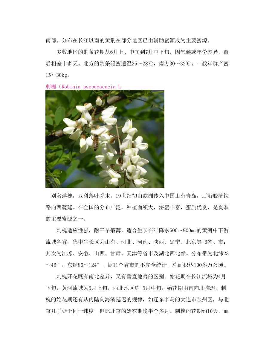 主要蜜源植物图文资料_第2页