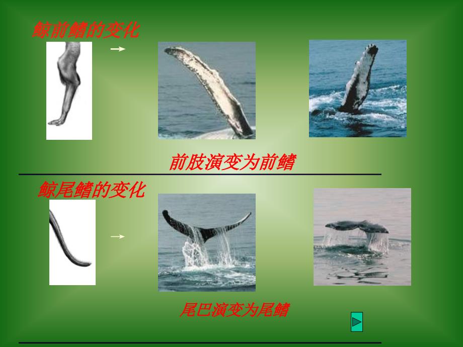 河北省唐山市汉沽管理区闫庄小学李晓芳_第3页