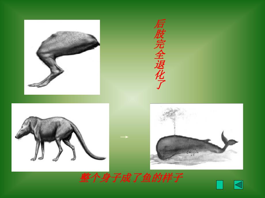 河北省唐山市汉沽管理区闫庄小学李晓芳_第4页