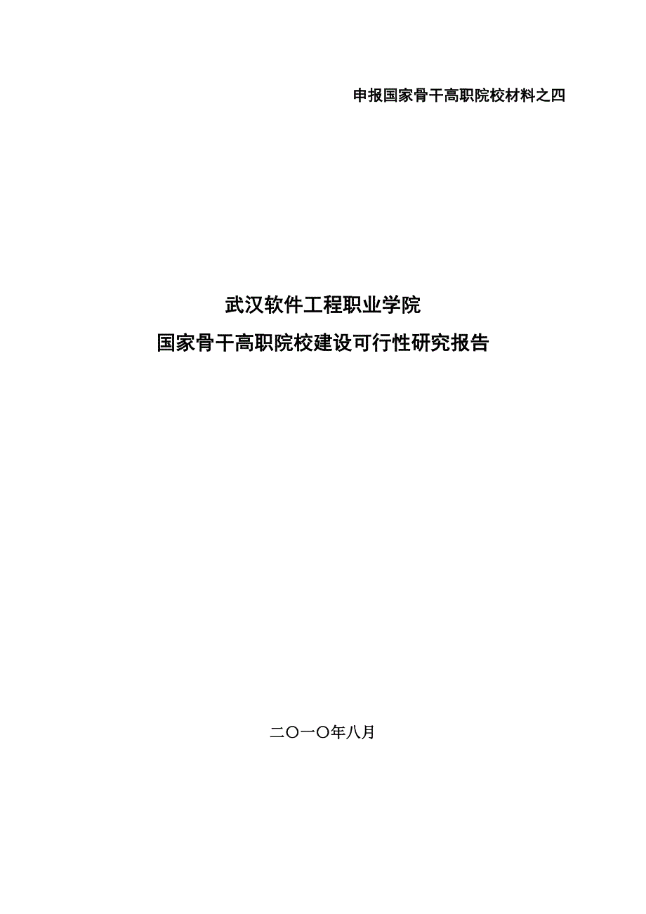 可行性研究报告_第1页