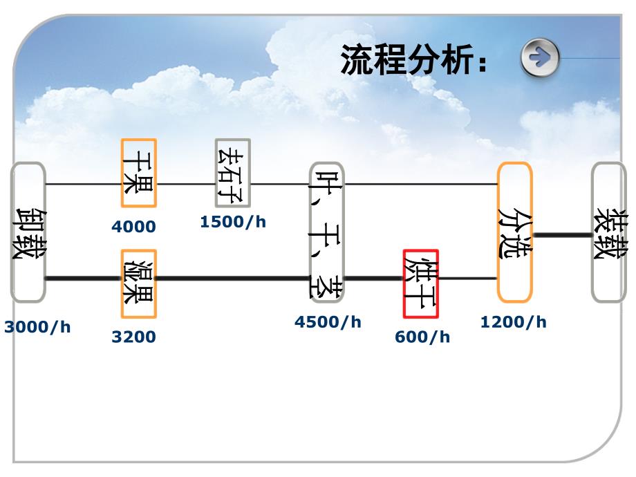 红酸果案例分析报告最终版_第3页