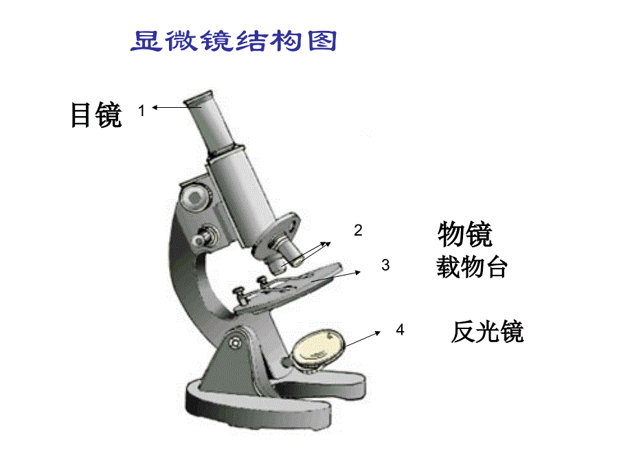 显微镜与望远镜_第3页