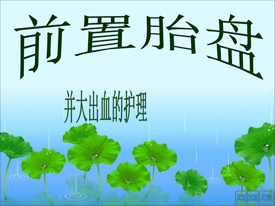 前置胎盘的个案护理_第1页