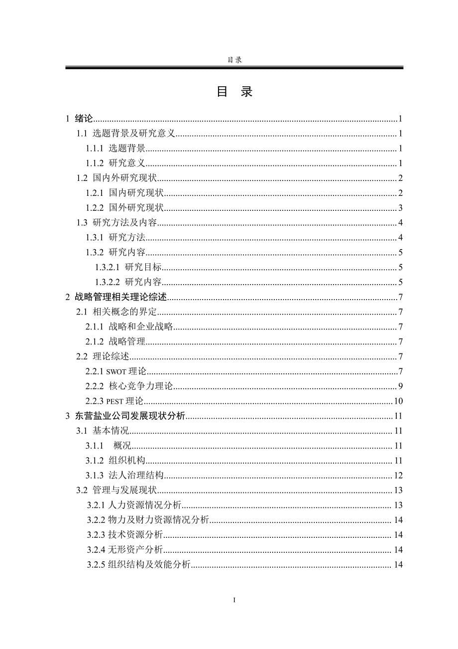 东营盐业公司发展战略研究_第5页