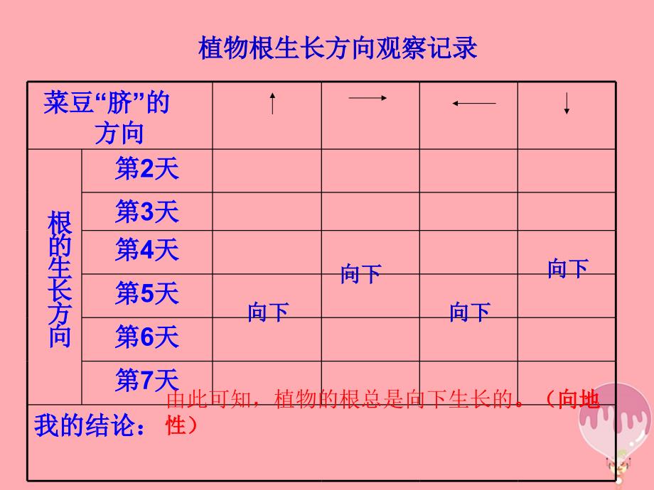 六年级科学上册1.1一棵顽强的小树课件2湘教版_第2页