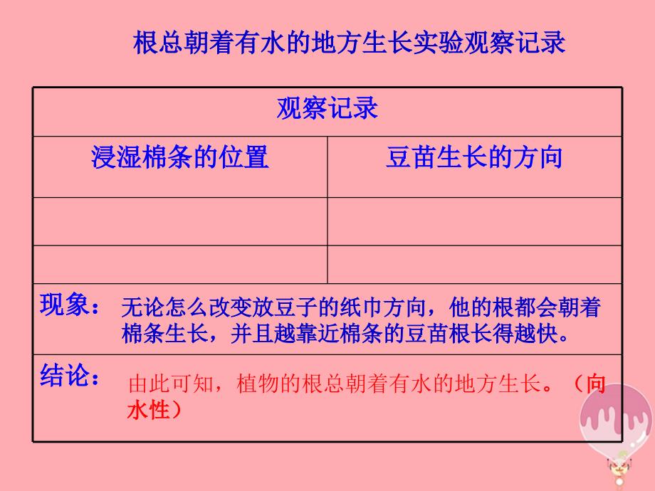 六年级科学上册1.1一棵顽强的小树课件2湘教版_第3页