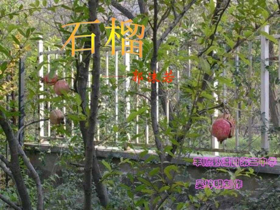 七年级语文石榴1_第1页