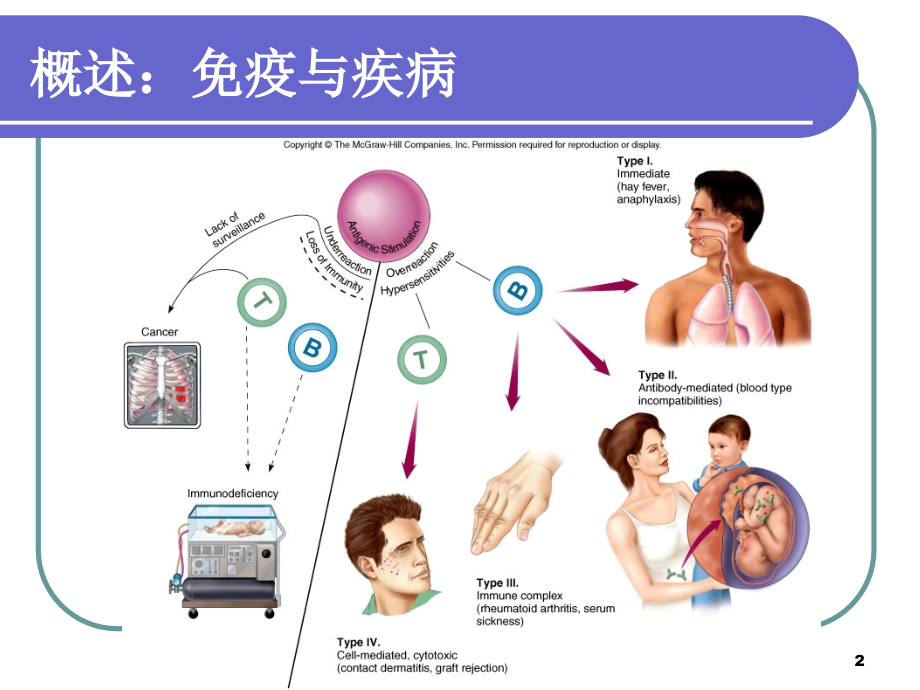 免疫学微生物学检验高护_第2页