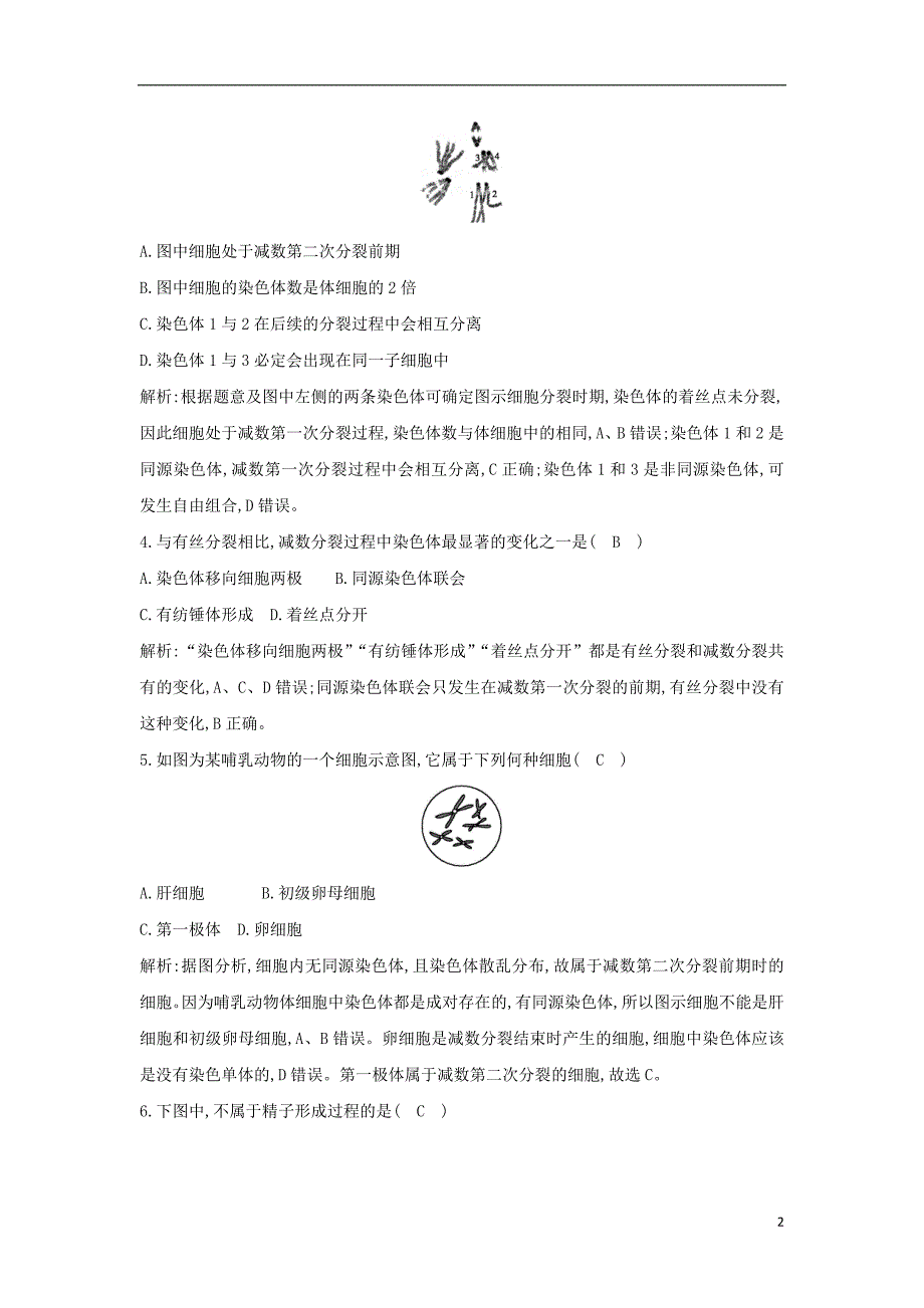 江苏省启东市高中生物 减数分裂课时训练 新人教版必修2_第2页