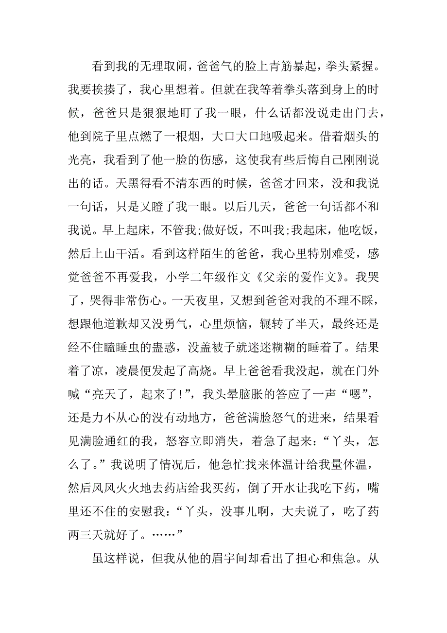 关于父亲的爱二年级作文_第2页