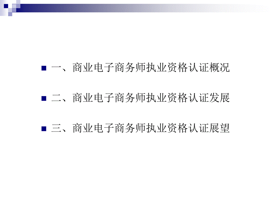 商业电子商务师执业资格认证项目_第2页