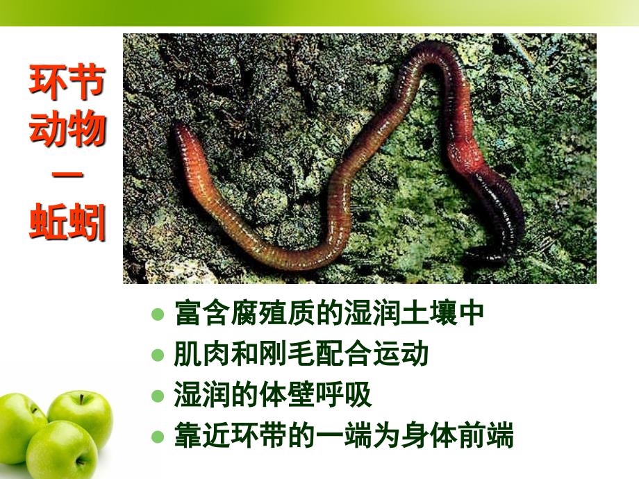 八上生物会考复习_第4页