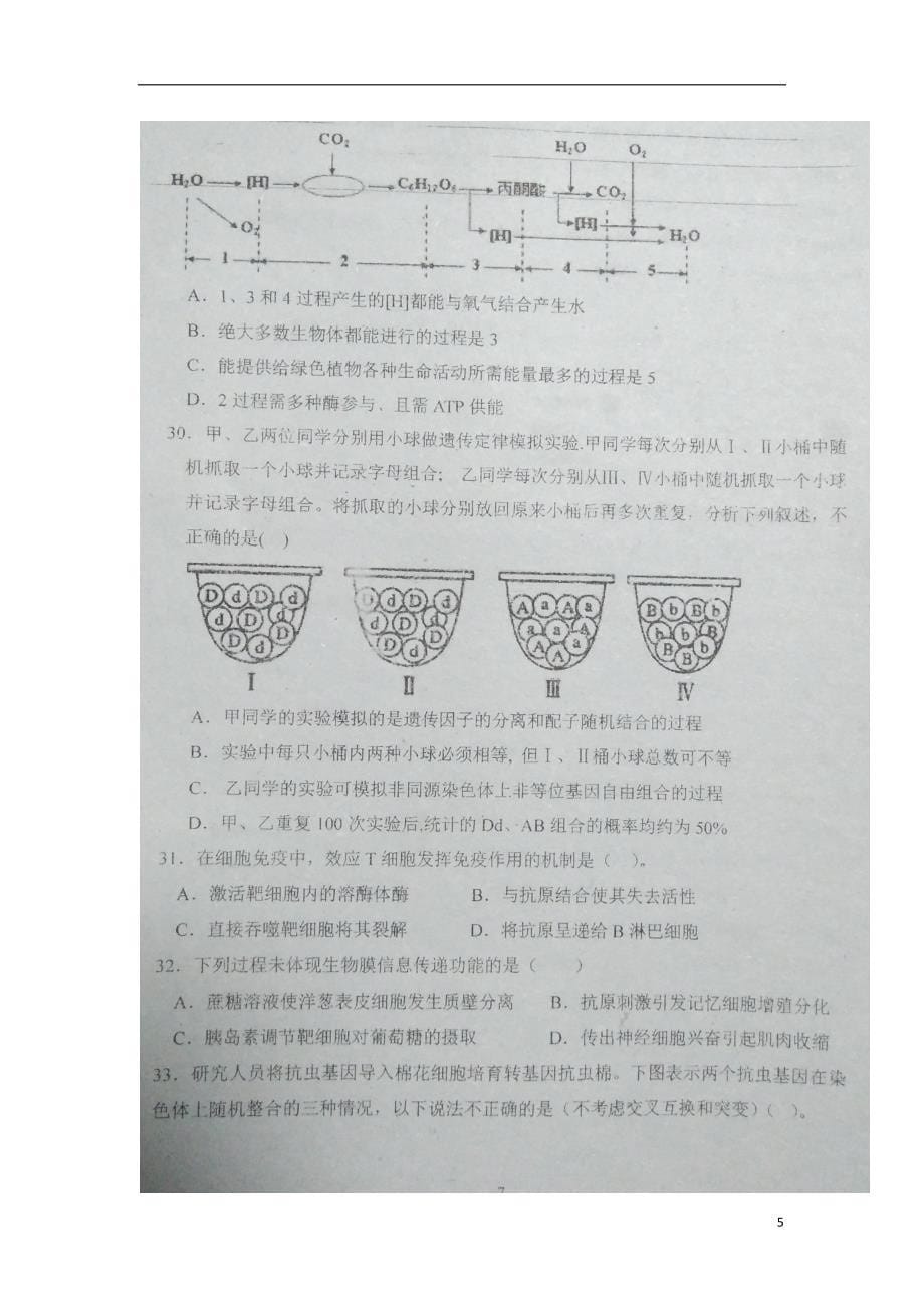 吉林省长春市2018届高三生物上学期第二次阶段考试试题（扫 描 版，无答案）_第5页