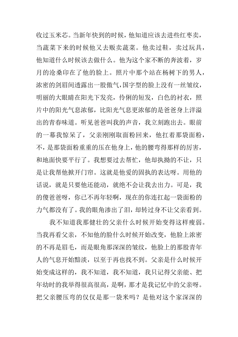 关于父亲的爱的400字作文_第2页