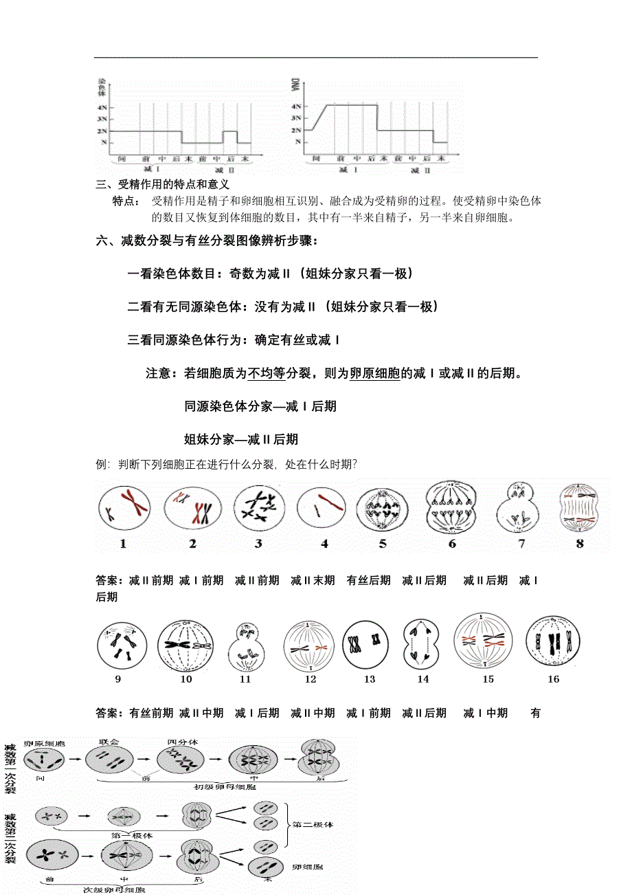 生物会考 必修二会考知识点总结_第4页