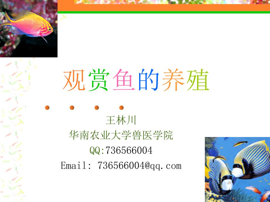 热带观赏鱼的养殖_第1页