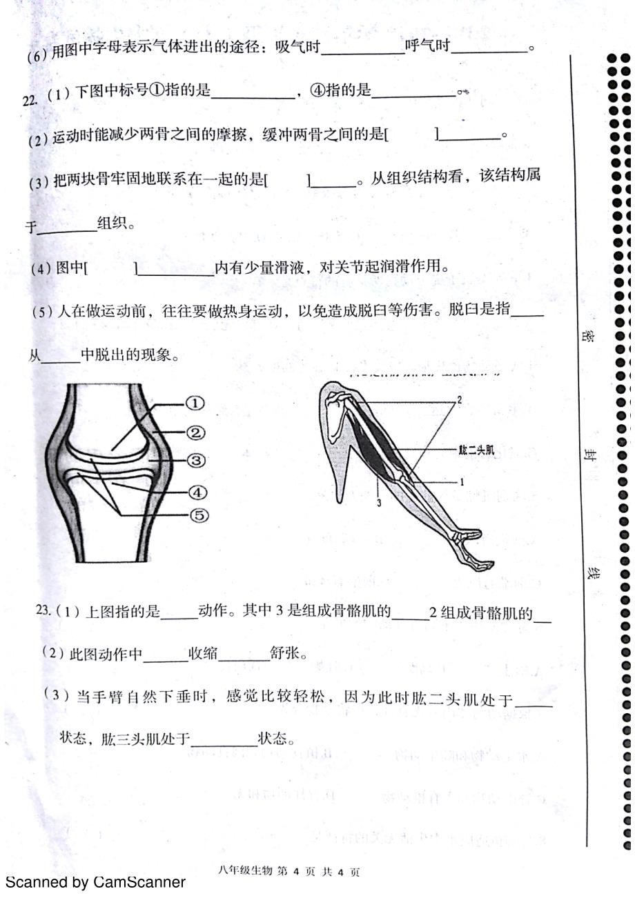 河南省罗山县2017-2018学年八年级生物上学期期中试题_第4页