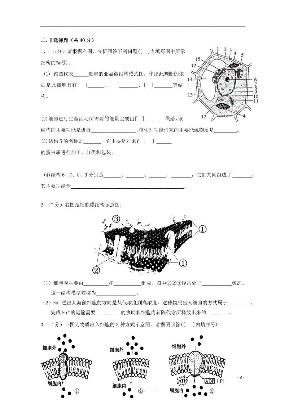 吉林省汪清县2017_2018学年高一生物11月月考试题_第3页