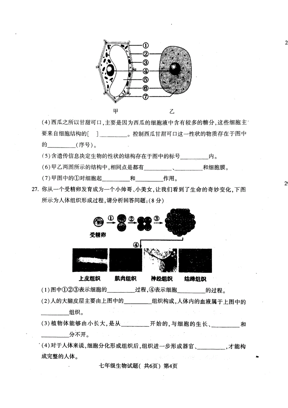 山东省莘县2017-2018学年七年级生物上学期期中试题 新人教版_第4页