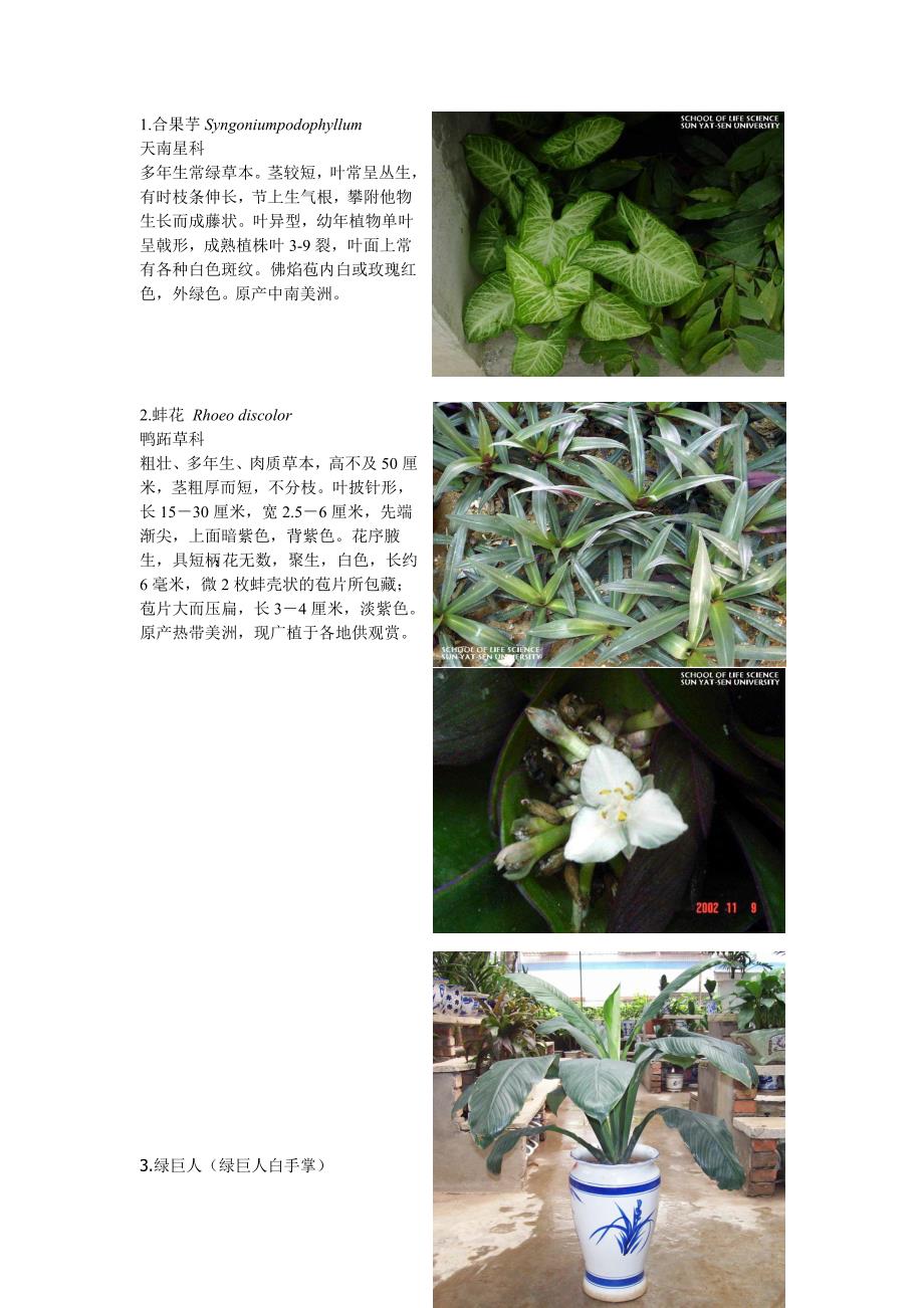 植物学认种资料1_第1页