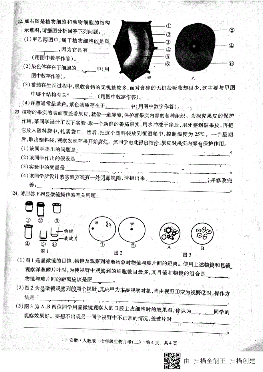 安徽省蚌埠市2017-2018学年七年级生物上学期第二次月考（期中）试题 新人教版_第4页