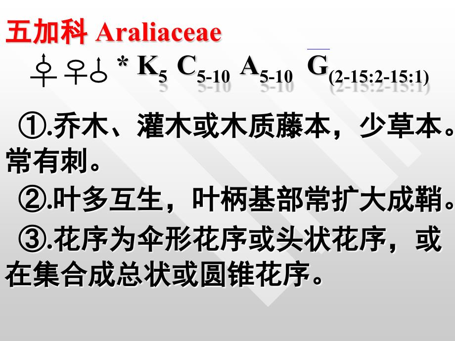 五加科伞形科_第1页