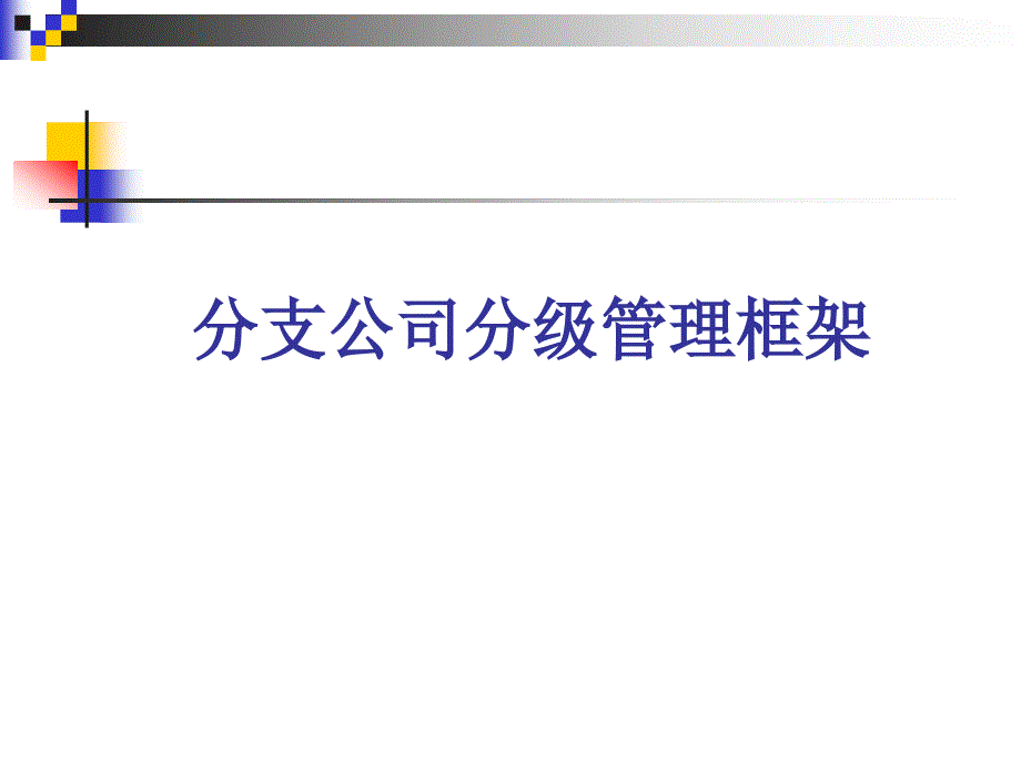 分支公司分级管理框架_第1页