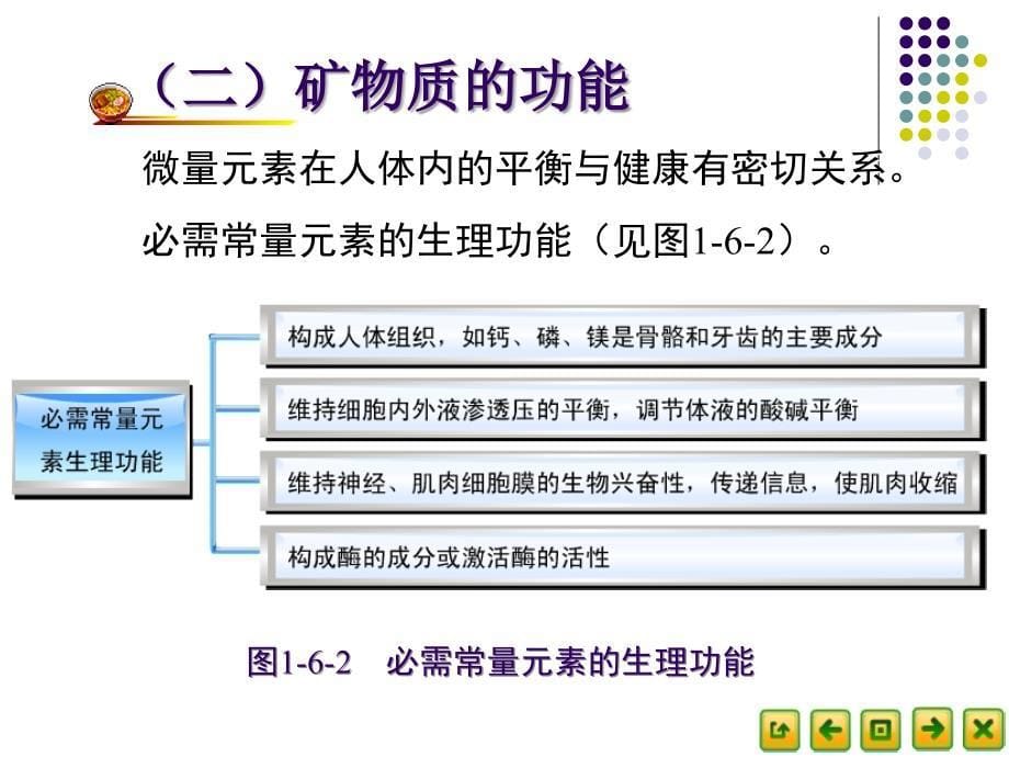 矿物质和微量元素_第5页