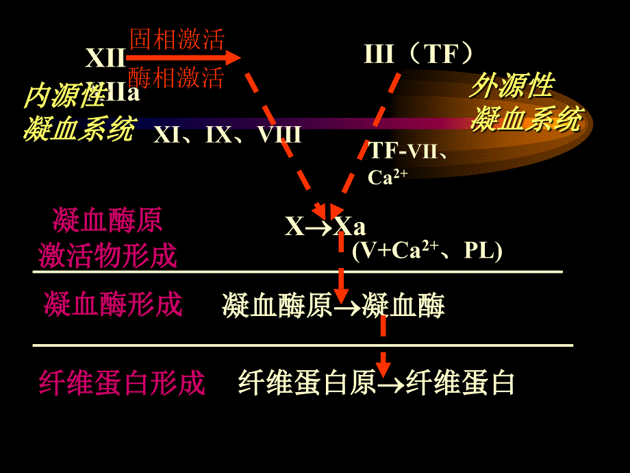 凝血与抗凝血功能紊乱_第4页