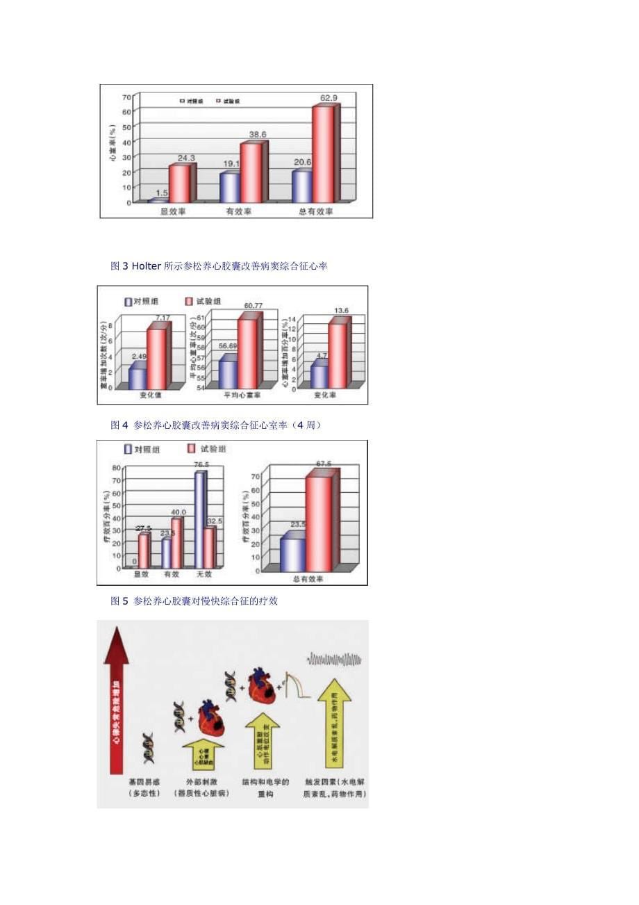 参松养心胶囊治疗缓慢性心律失常_第5页