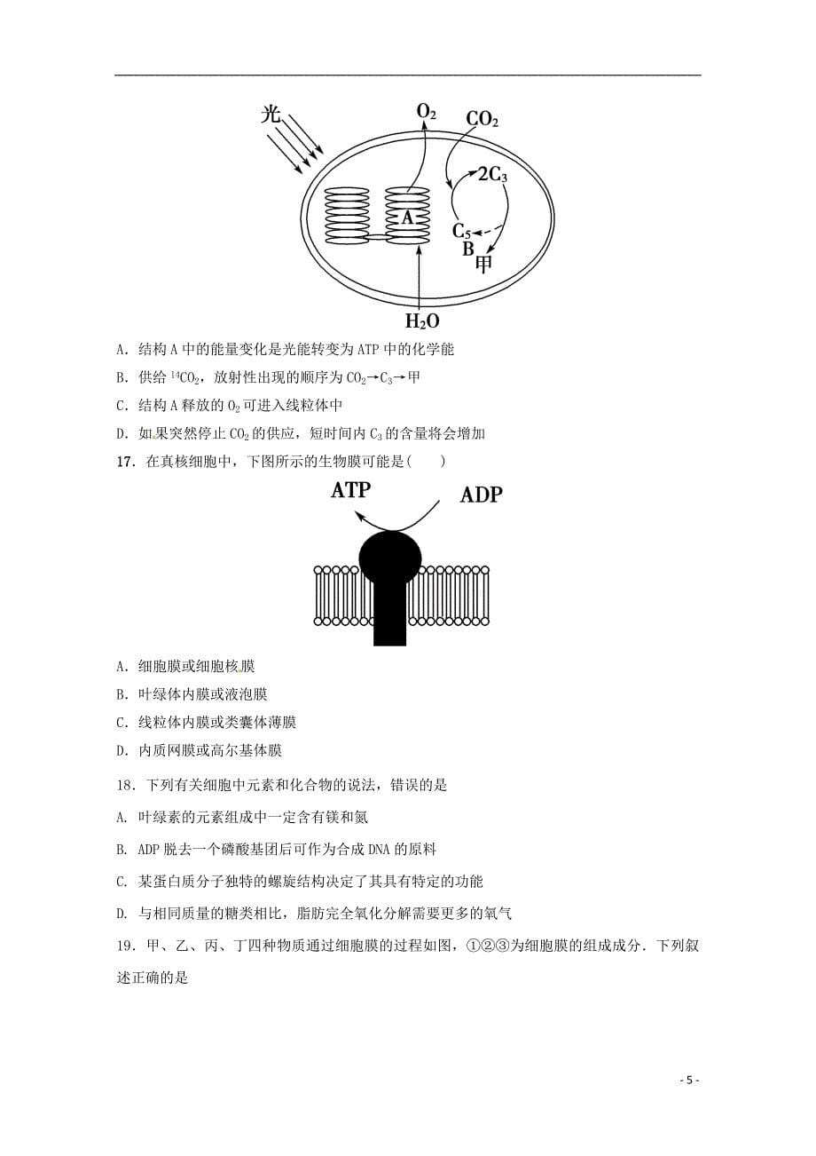 陕西省黄陵县2018届高三生物上学期期中试题（高新部）_第5页