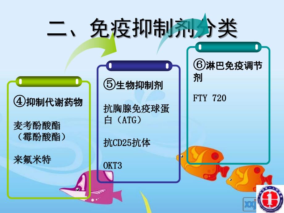 免疫抑制剂在肾病中的应用课件_第3页