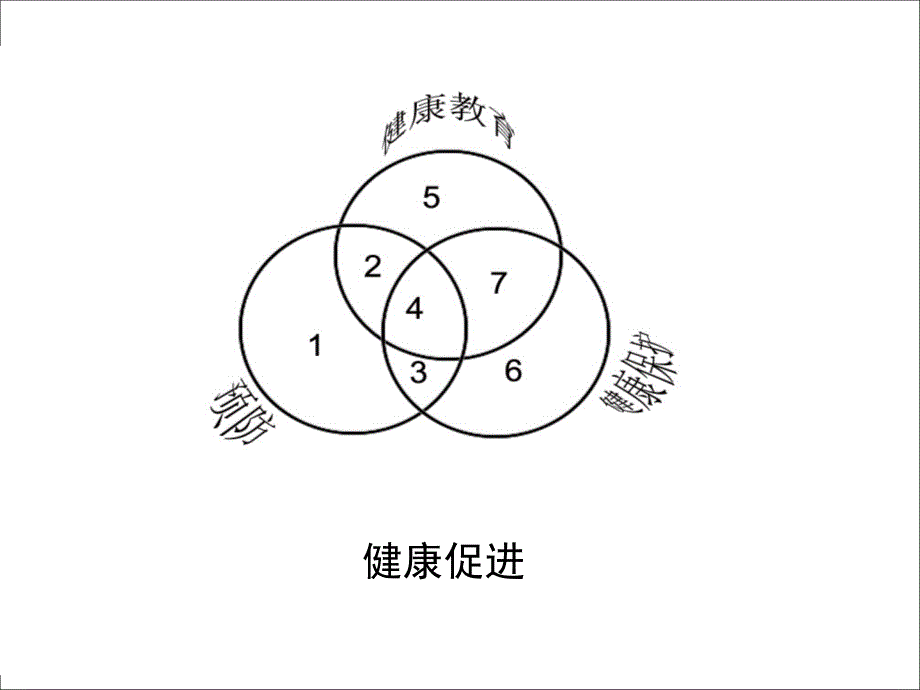 健康促进县区工作_第4页