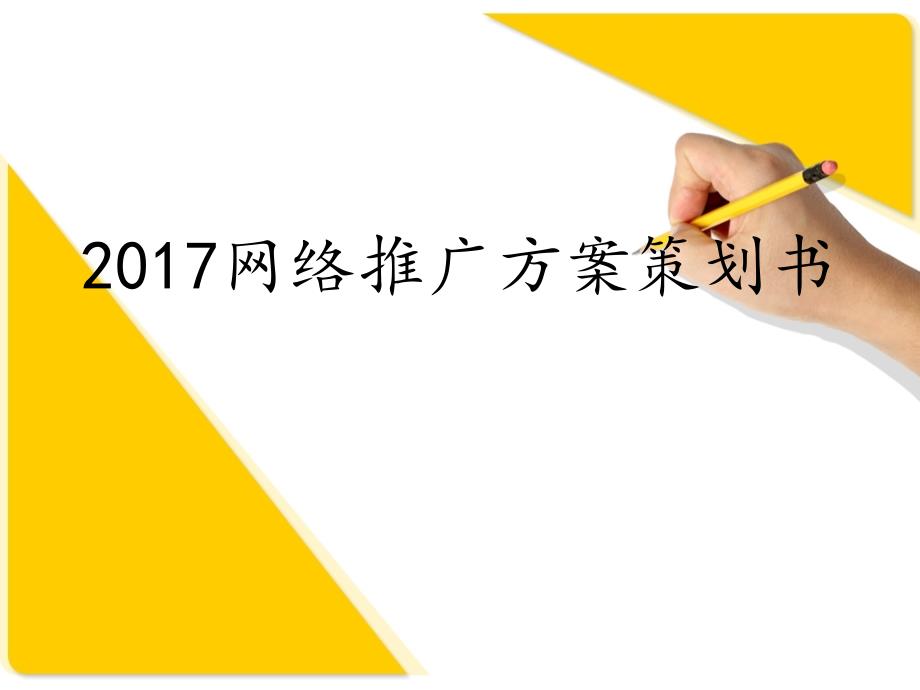 2017网络推广方案策划书_第1页