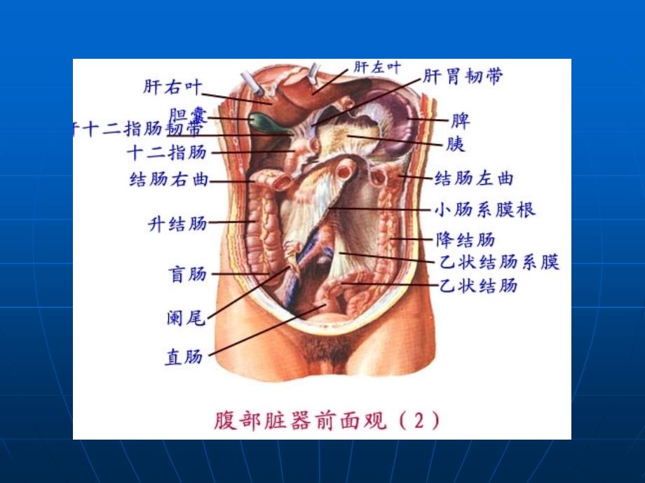 外科常见疾病的诊疗_第4页