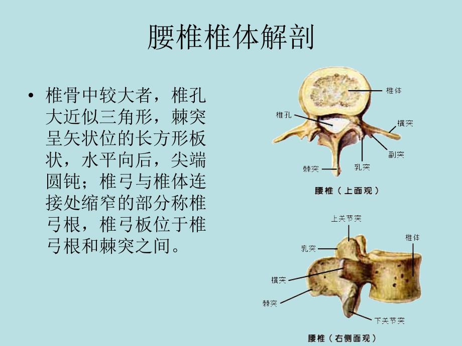 腰椎滑脱症_第2页