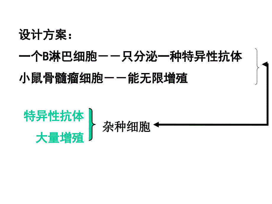 动物细胞工程复习课件_第2页