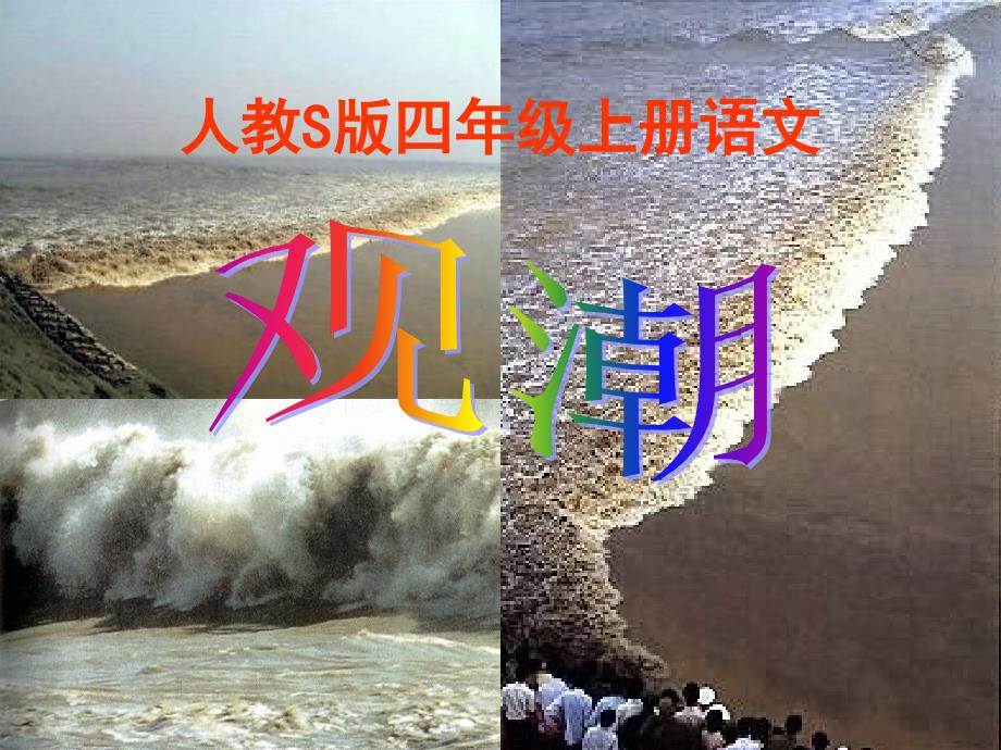 小学语文s版四年级上册《观潮》课件_第1页