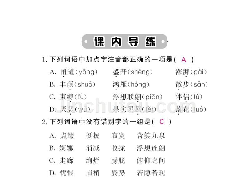 九年级语文上册同步练习第3课《西花厅的海棠花又开了》_第2页