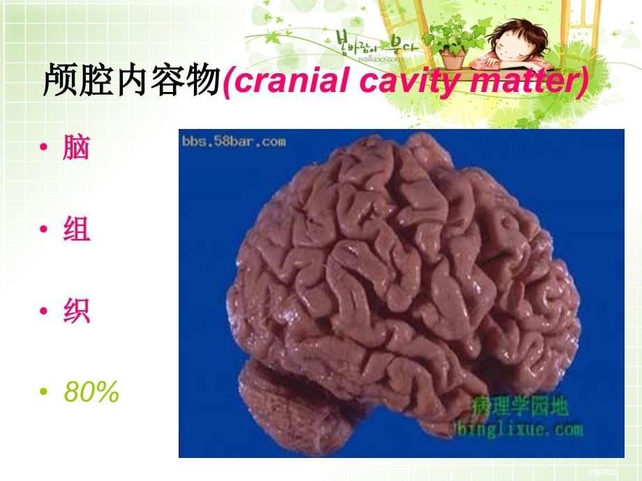 新颅内压增高病人的护理_第5页