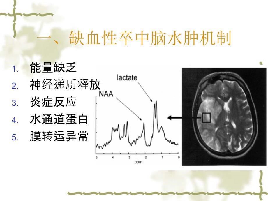 卒中后脑水肿的处理_第5页