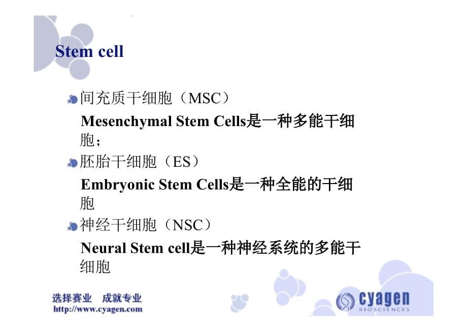 干细胞技术服务_第5页