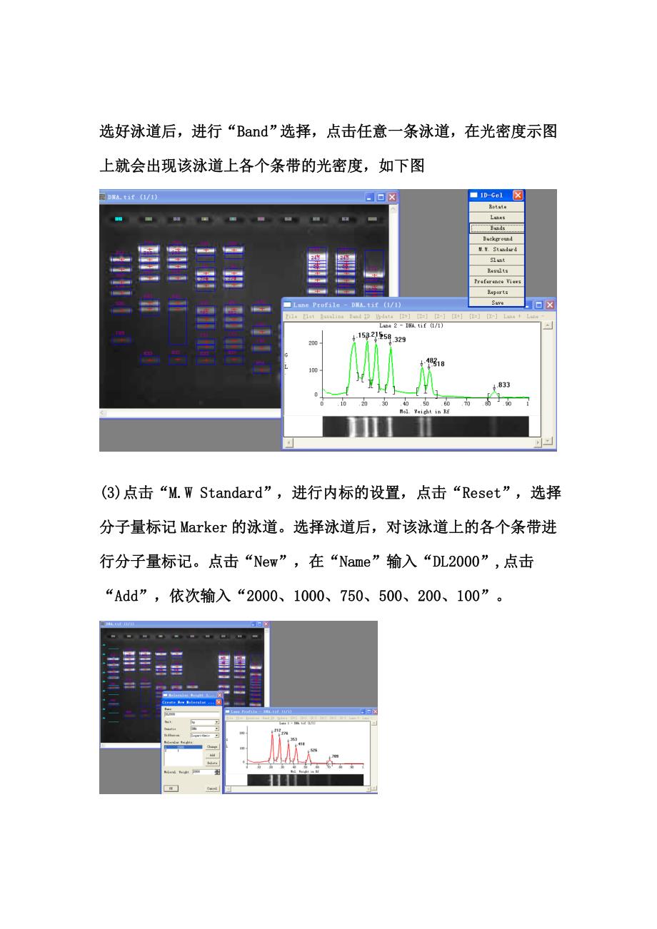 实验二：凝胶图像分析_第3页