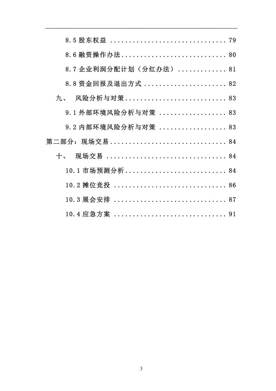 【中文版】轻旅策划书_第4页