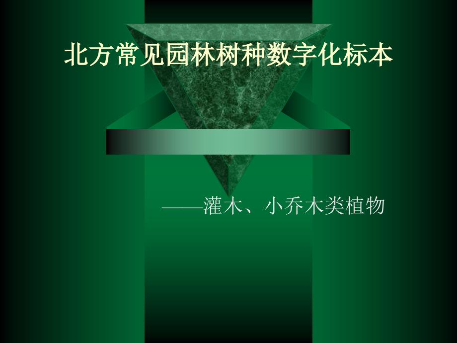 北方常见园林树木灌木类、小乔木类标本_第1页