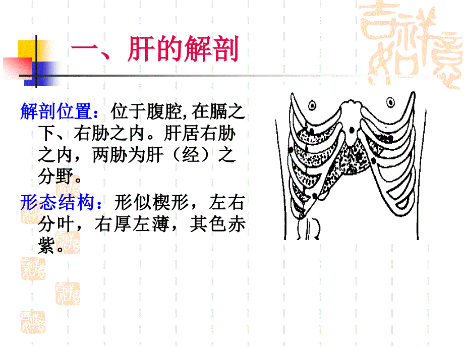 中医基础理论藏象肝_第3页