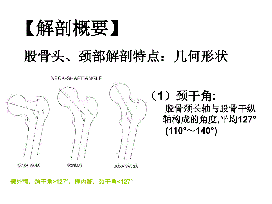 股骨转子间骨折与股骨颈骨折_第4页