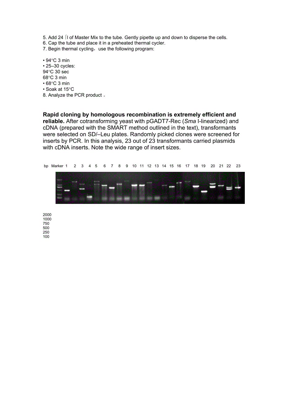 拟南芥酵母文库构建_第4页