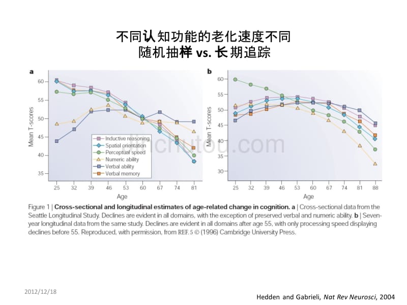 第14周： 老化&疾病_第5页